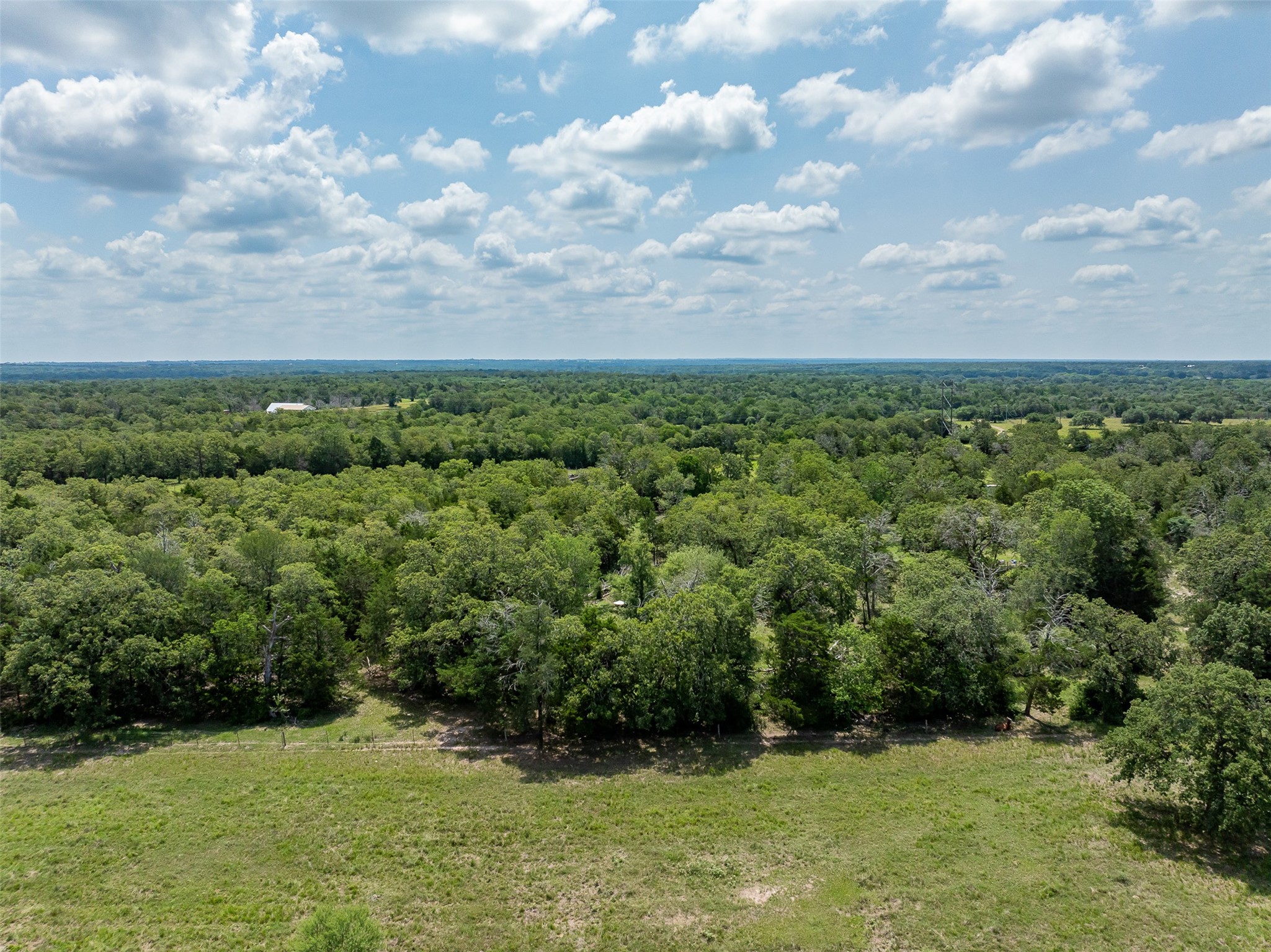 Tbd Halamicek Loop Fayetteville, TX 78940 - Photo 29 of 34 a view of a garden with a building