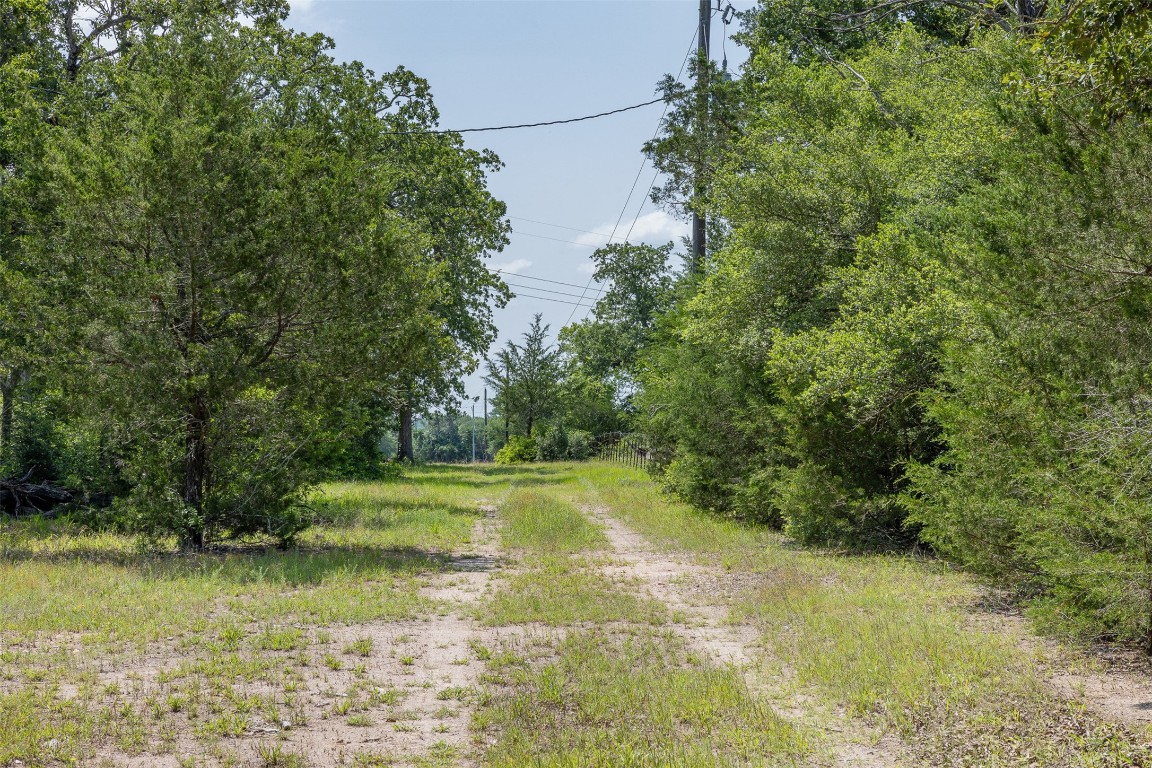 Tbd Halamicek Loop Fayetteville, TX 78940 - Photo 32 of 41 a view of a yard with an trees