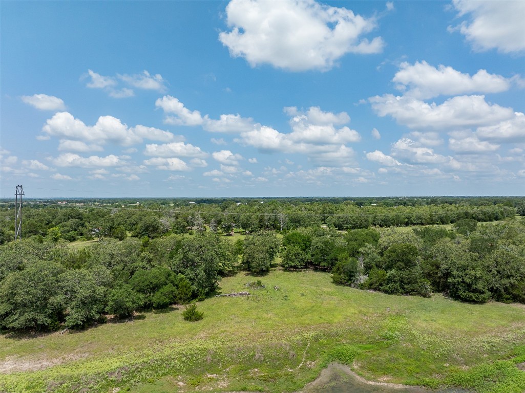 Tbd Halamicek Loop Fayetteville, TX 78940 - Photo 33 of 41 a view of a bunch of trees and a yard
