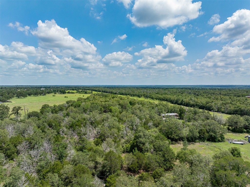 Tbd Halamicek Loop Fayetteville, TX 78940 - Photo 34 of 41 a view of a lake with houses in the back
