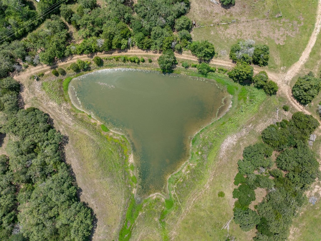 Tbd Halamicek Loop Fayetteville, TX 78940 - Photo 6 of 41 a view of a lake view
