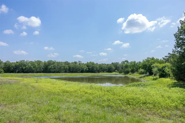 $699,000 | Tbd Halamicek Loop, Fayetteville, TX 78940