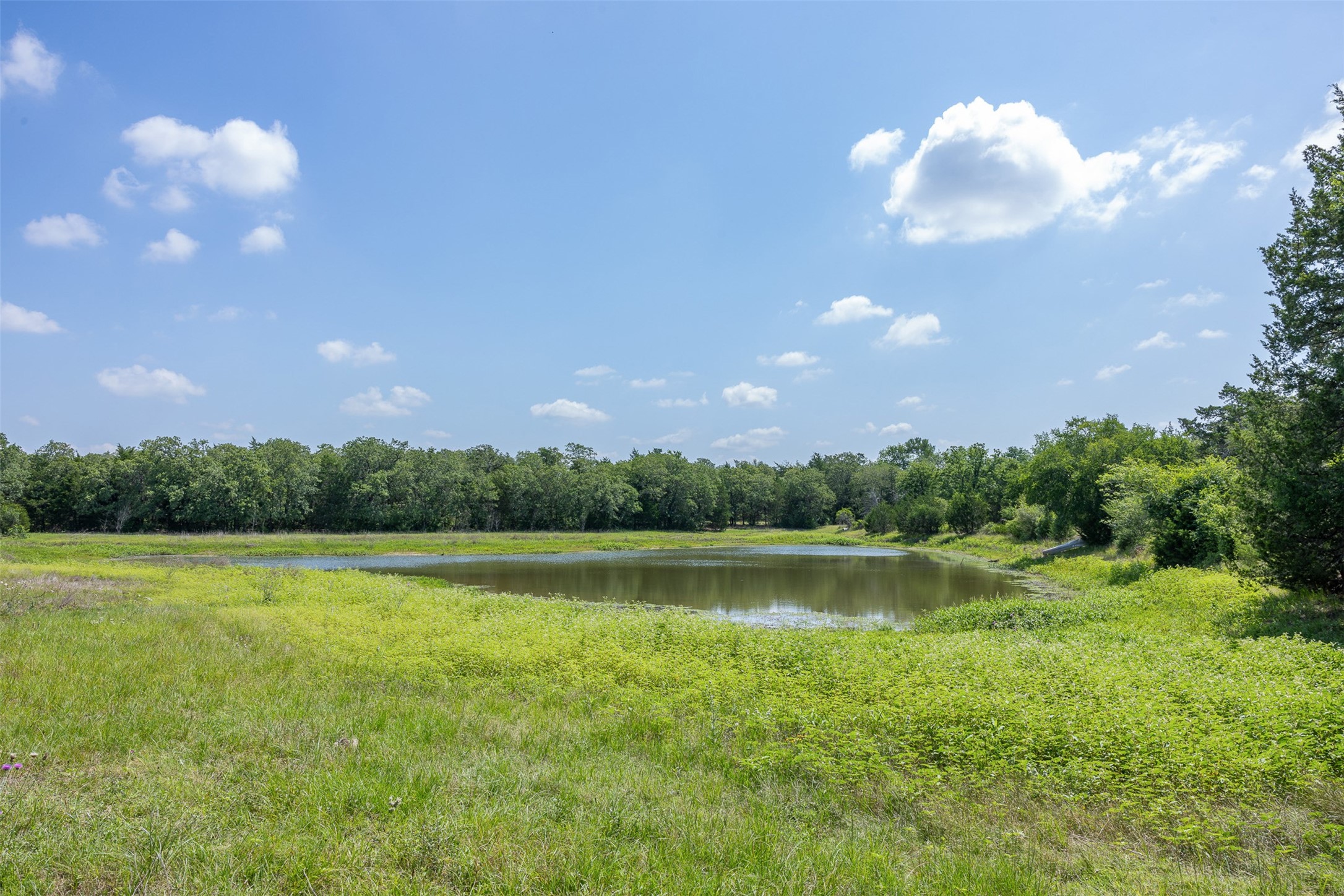 Tbd Halamicek Loop Fayetteville, TX 78940 - Photo 6 of 34