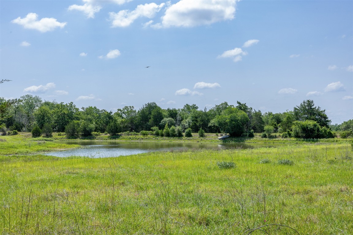Tbd Halamicek Loop Fayetteville, TX 78940 - Photo 10 of 41
