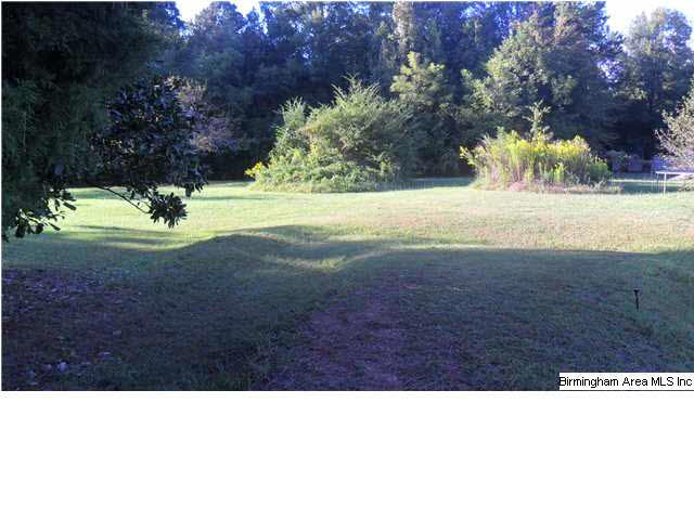 104 Center Street Columbiana, AL 35051 - Photo 26 of 30
