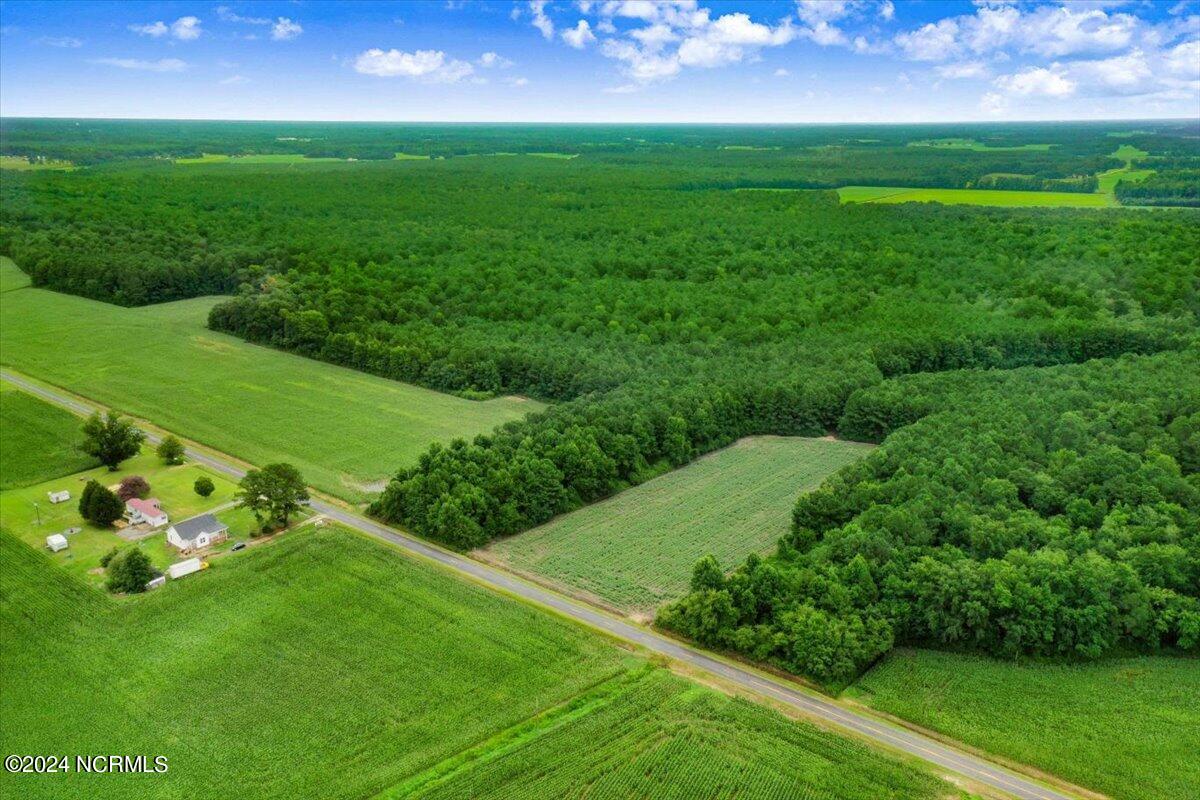 0 Friday Road Newton Grove, NC 28366 - Photo 6 of 10 Friday Rd 6