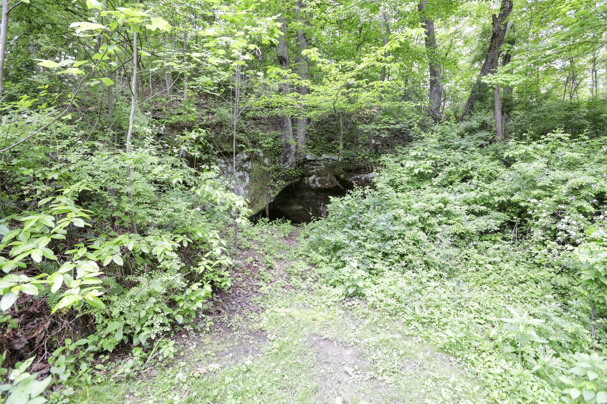 7485 Sugar Grove Road Southeast Sugar Grove, OH 43155 - Photo 60 of 95 63-web-or-mls-LO5A2384