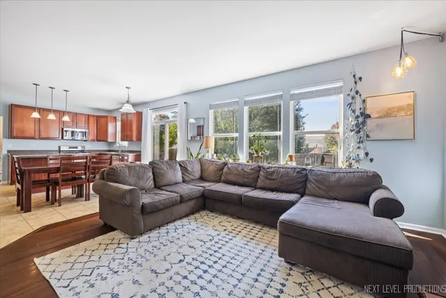 a view of a hallway with wooden floor and a potted plant