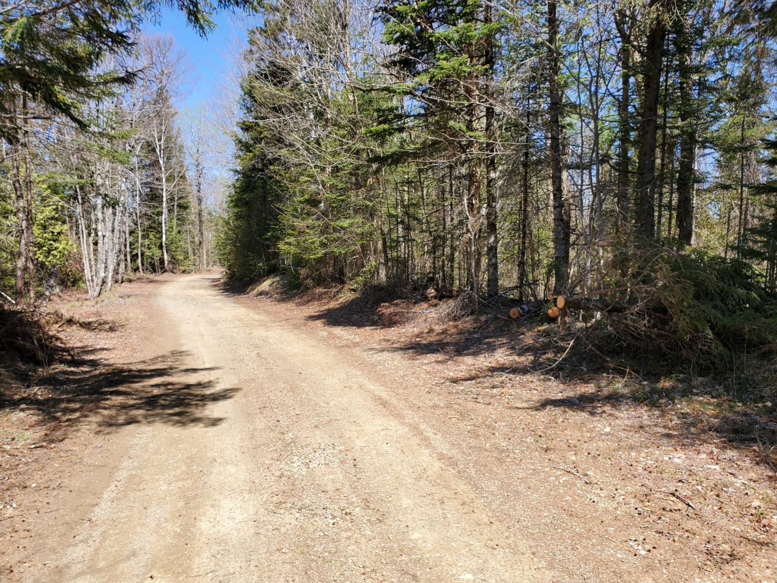 Lot S Lot S Bell Field River Road Wytopitlock, ME 04497 - Photo 4 of 6 20200519_112436