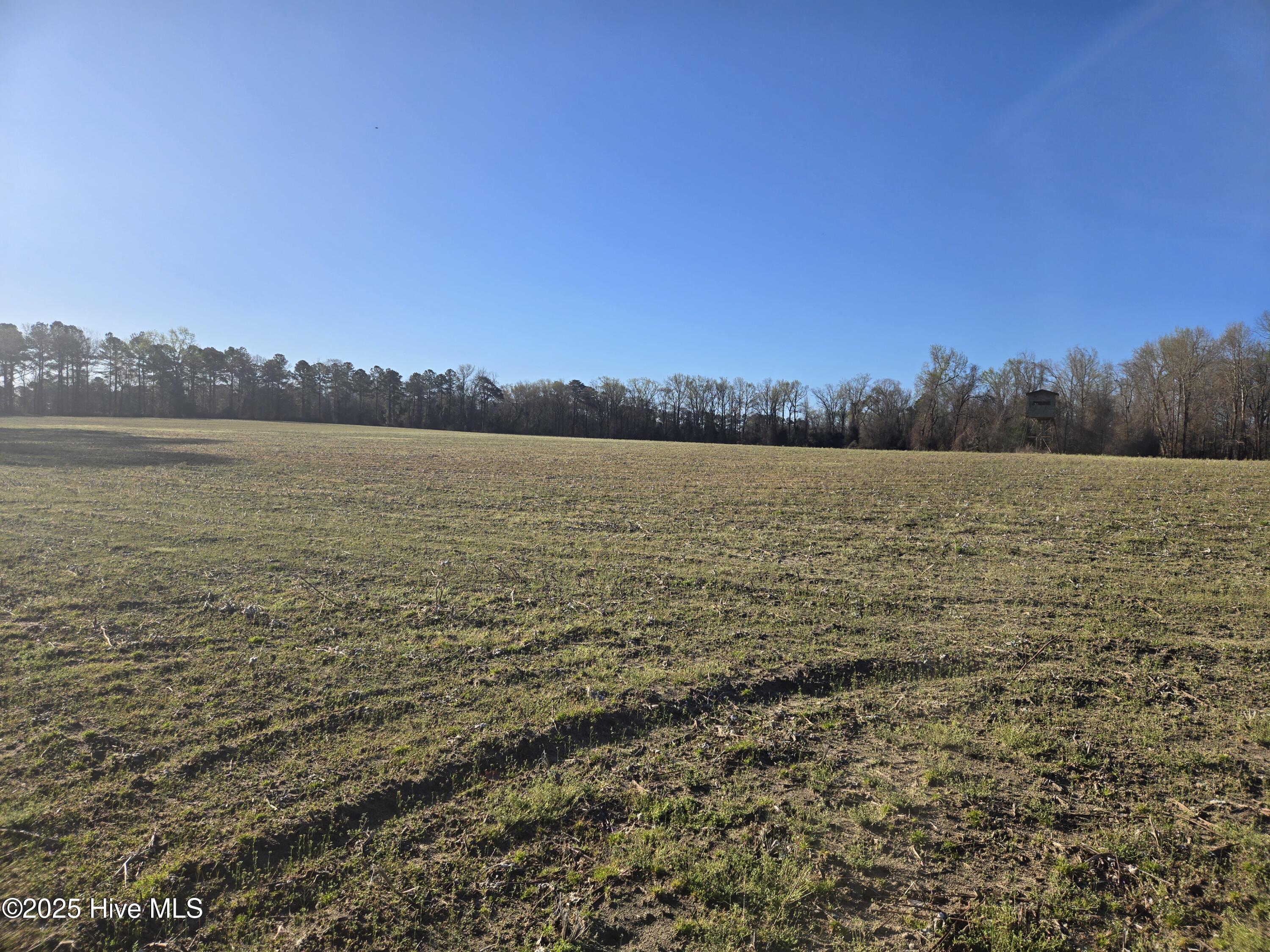 3739 Ballard Road Oak City, NC 27857 - Photo 5 of 15 20250321_085341