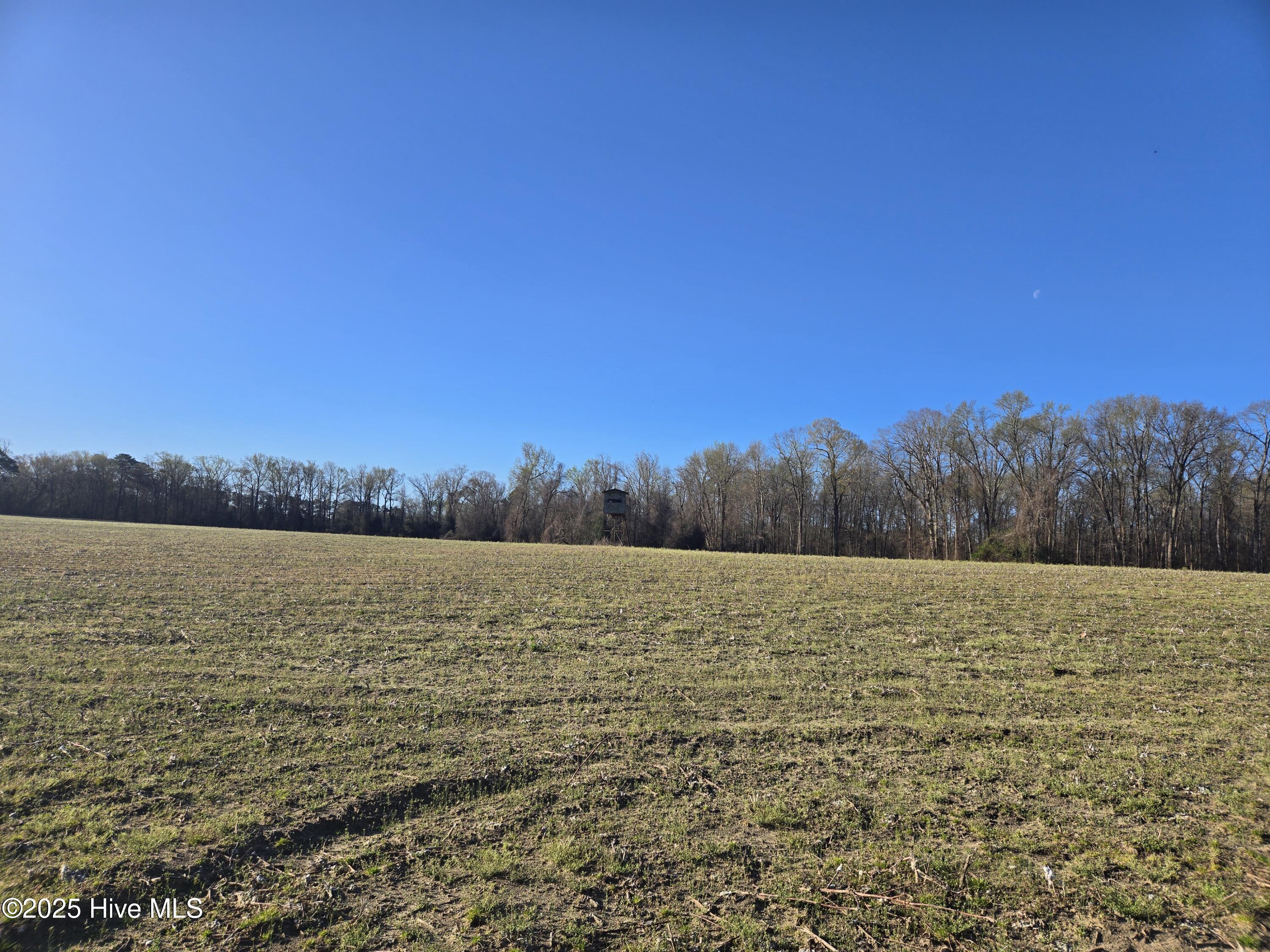 3739 Ballard Road Oak City, NC 27857 - Photo 6 of 15 20250321_085334