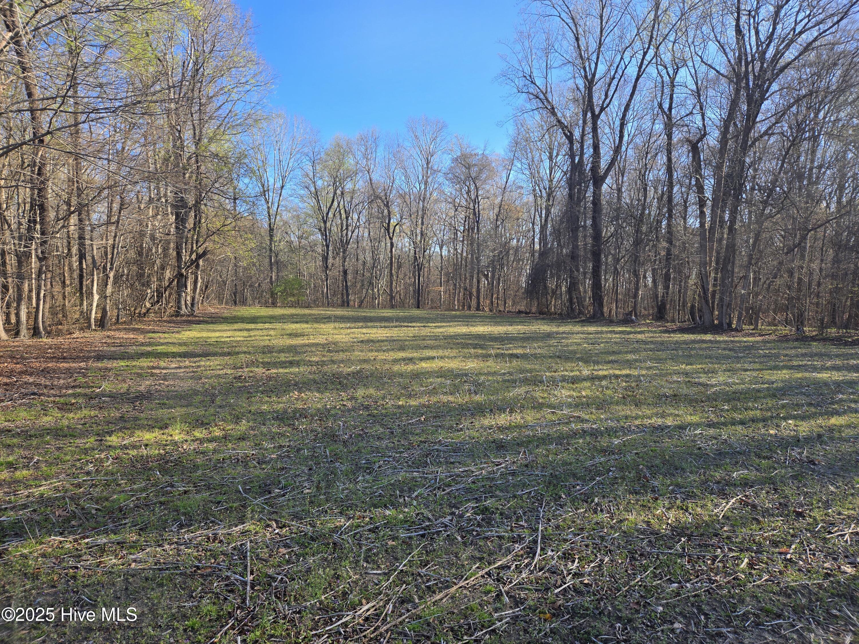 3739 Ballard Road Oak City, NC 27857 - Photo 8 of 15 20250321_092118