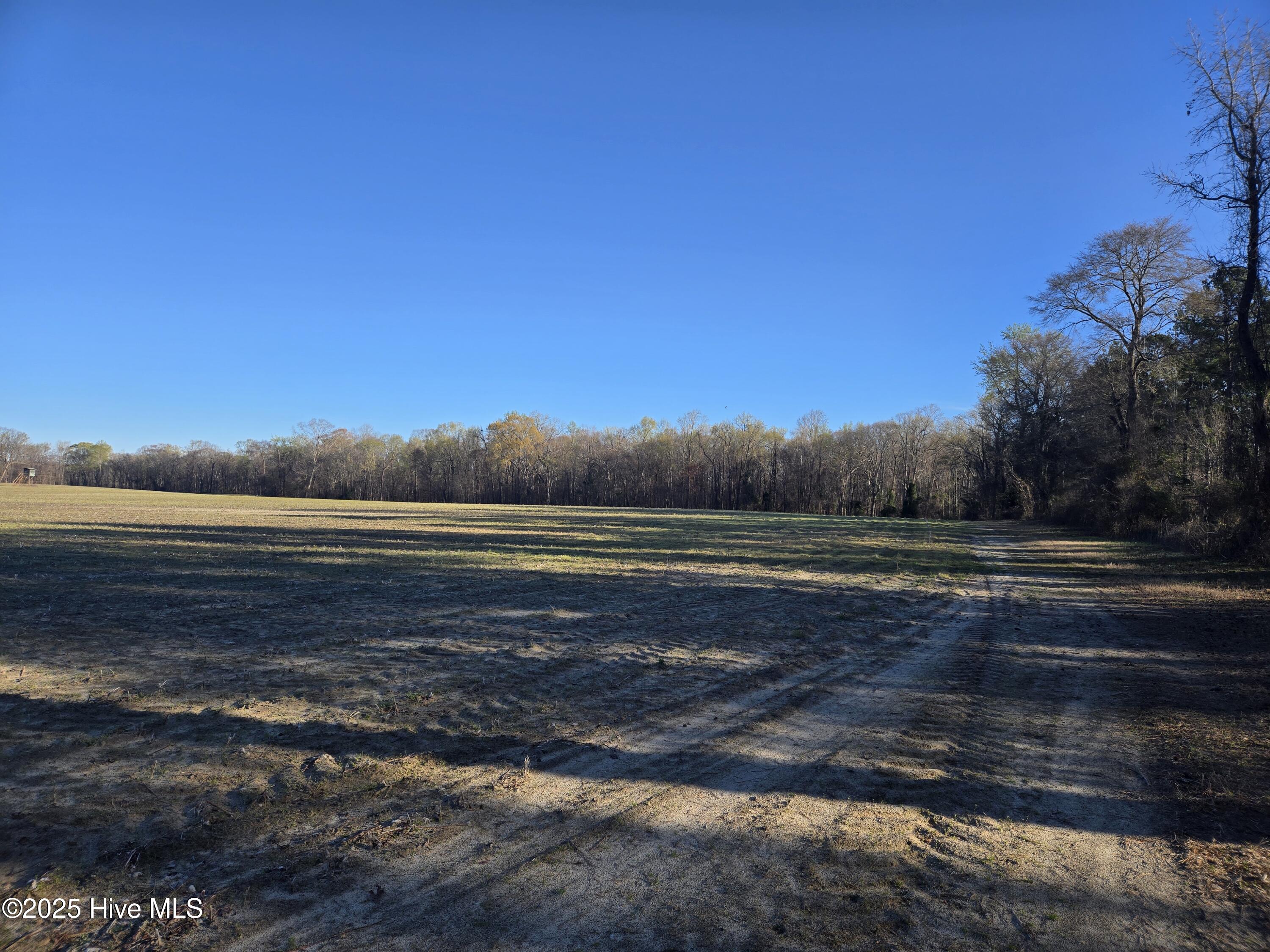 3739 Ballard Road Oak City, NC 27857 - Photo 9 of 15 20250321_084900