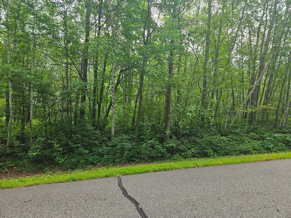 $53,000 | Lot 4-blk Southwest 1st Avenue, Grand Rapids, MN 55744
