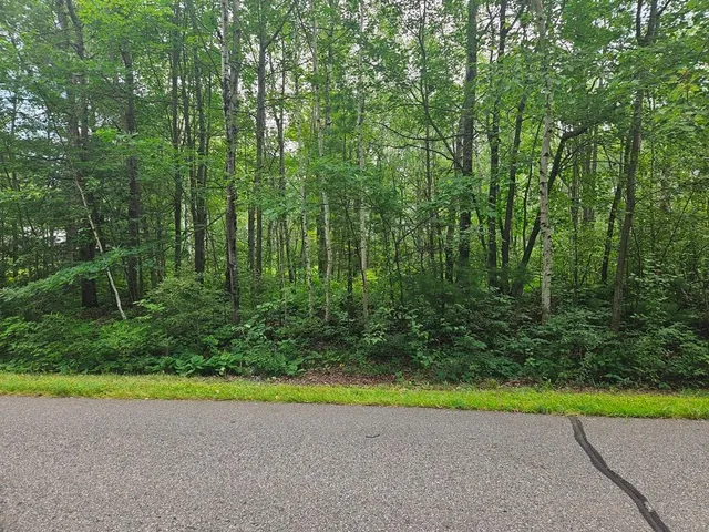 $53,000 | Lot 4-blk Southwest 1st Avenue, Grand Rapids, MN 55744
