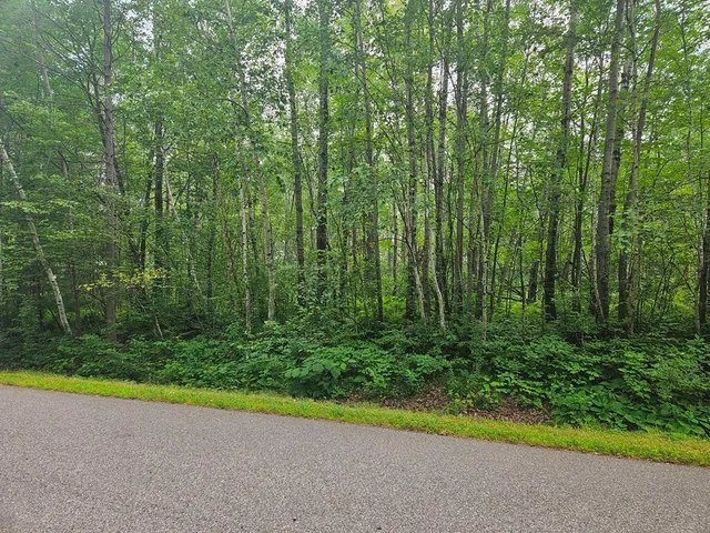 $53,000 | Lot 4-blk Southwest 1st Avenue, Grand Rapids, MN 55744