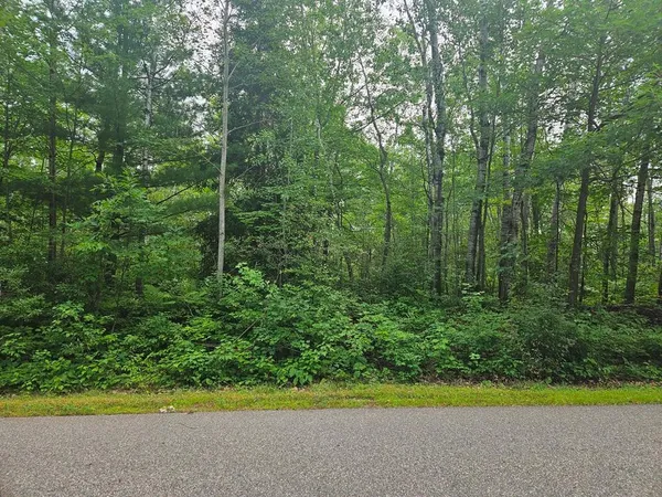 $53,000 | Lot 4-blk Southwest 1st Avenue, Grand Rapids, MN 55744