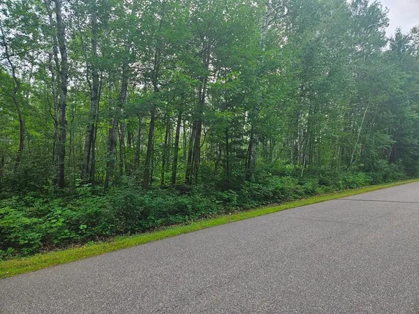 $53,000 | Lot 4-blk Southwest 1st Avenue, Grand Rapids, MN 55744