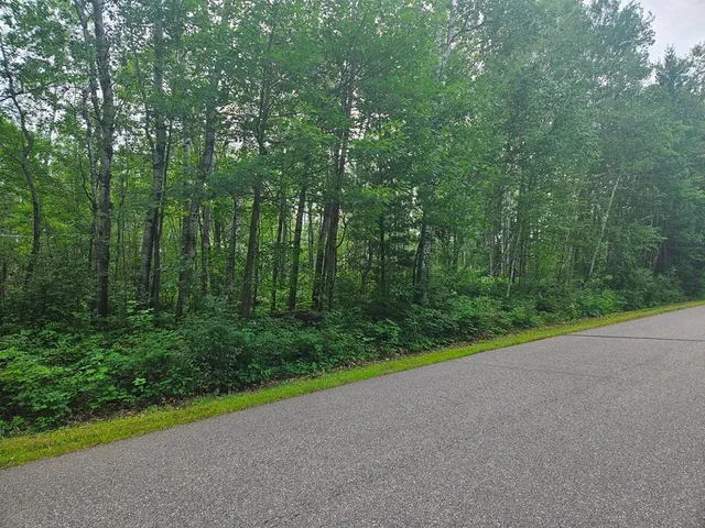 $53,000 | Lot 4-blk Southwest 1st Avenue, Grand Rapids, MN 55744