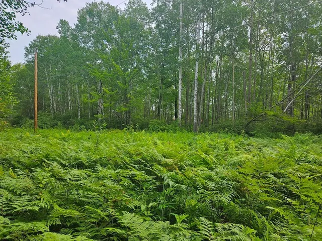 $53,000 | Lot 4-blk Southwest 1st Avenue, Grand Rapids, MN 55744