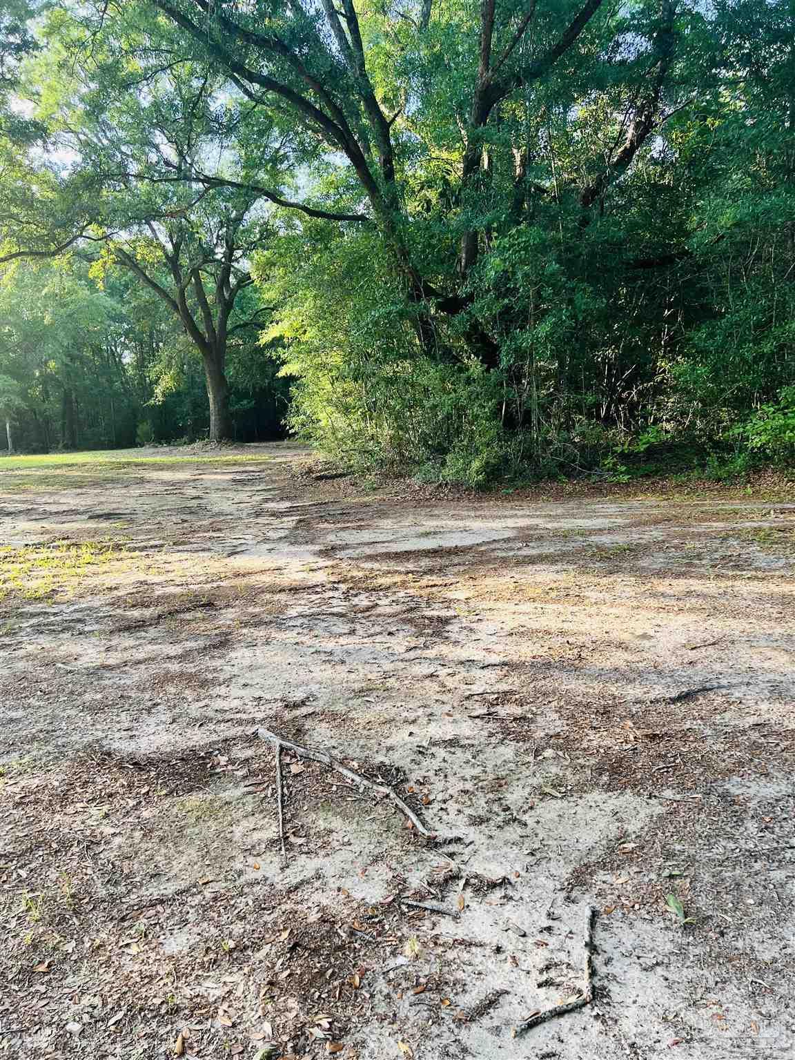 0 Tall Pine Road Bay Minette, AL 36507 - Photo 4 of 6