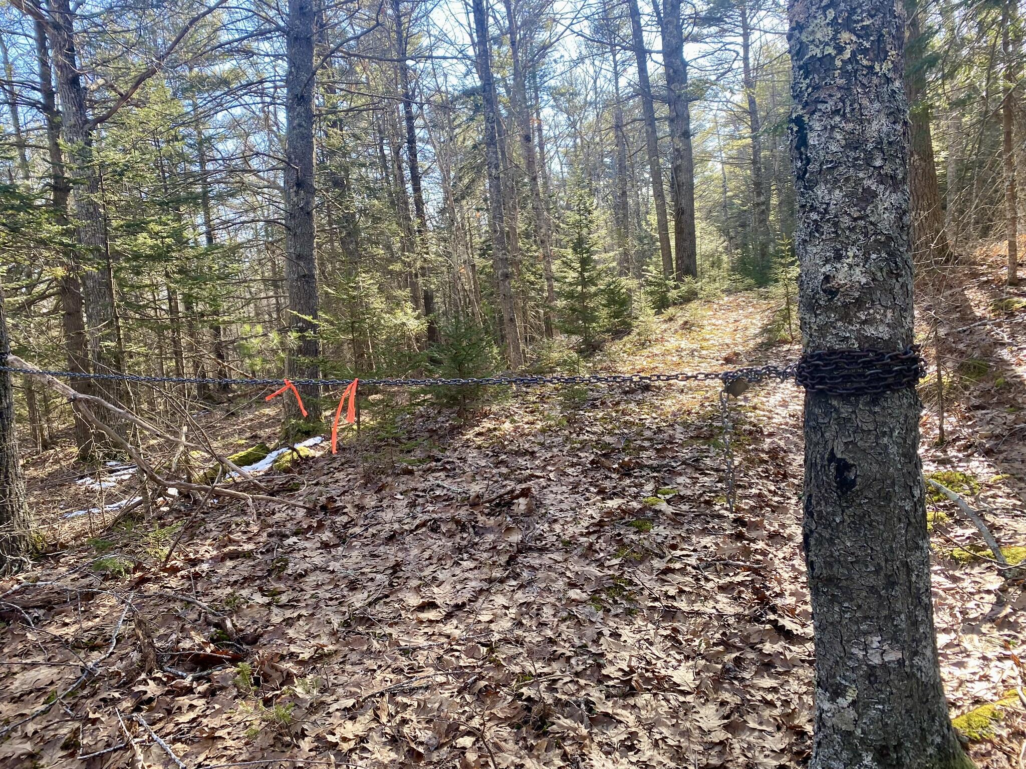 Lot 7-4 Bowman's Landing Road Georgetown, ME 04548 - Photo 23 of 34 IMG_0904