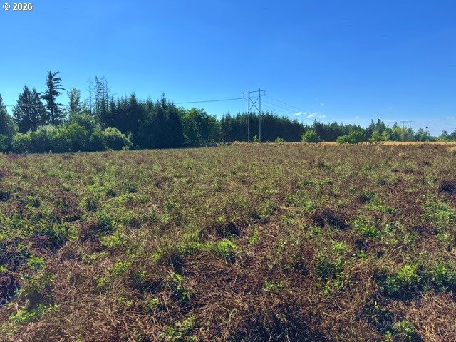31601 Yoder Road Hubbard, OR 97032 - Photo 12 of 25 Gallery Image 12
