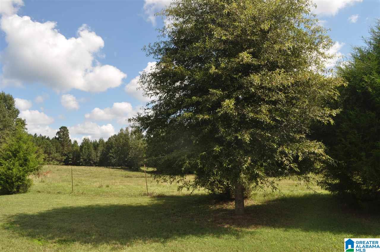 2842 Old Randolph Road Randolph, AL 36792 - Photo 11 of 16 Gallery Image 11