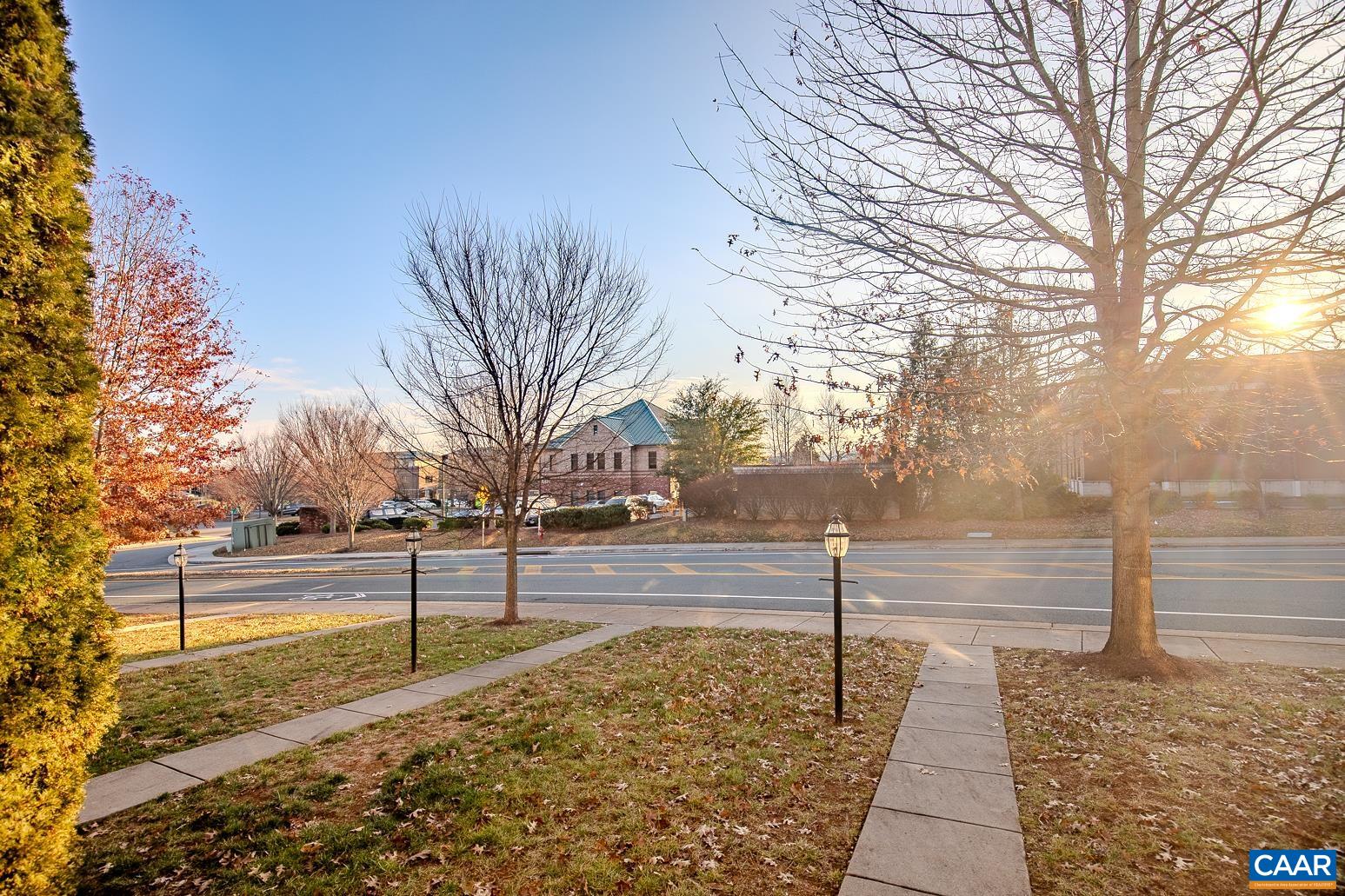 339 Rolkin Road Charlottesville, VA 22911 - Photo 3 of 43 a view of a yard with trees