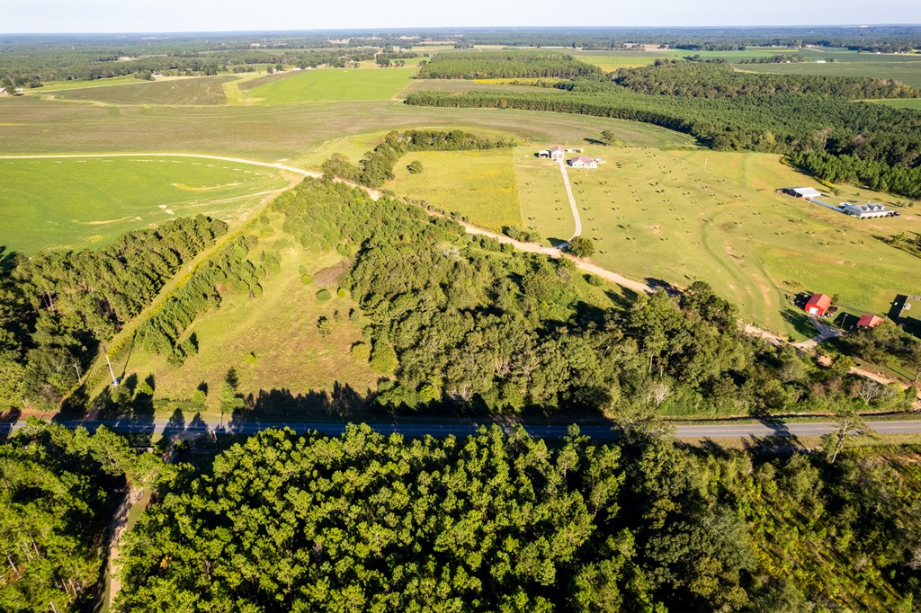 2226 Randall Wade Road Headland, AL 36345 - Photo 60 of 60
