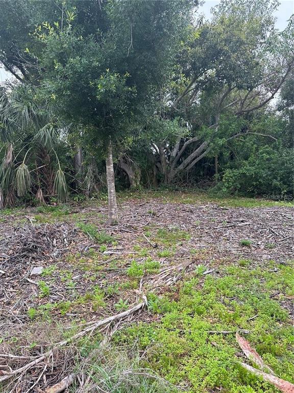 1015 Elm Street Punta Gorda, FL 33950 - Photo 3 of 13 a backyard of a house with lots of green space