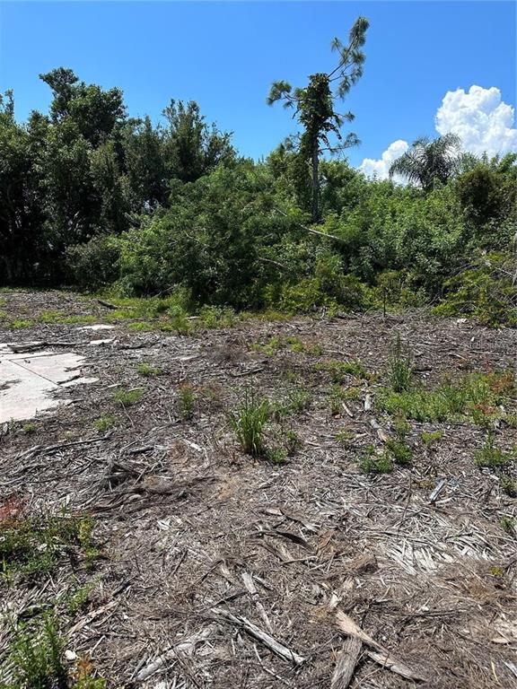 1015 Elm Street Punta Gorda, FL 33950 - Photo 7 of 13 a view of a yard with a tree