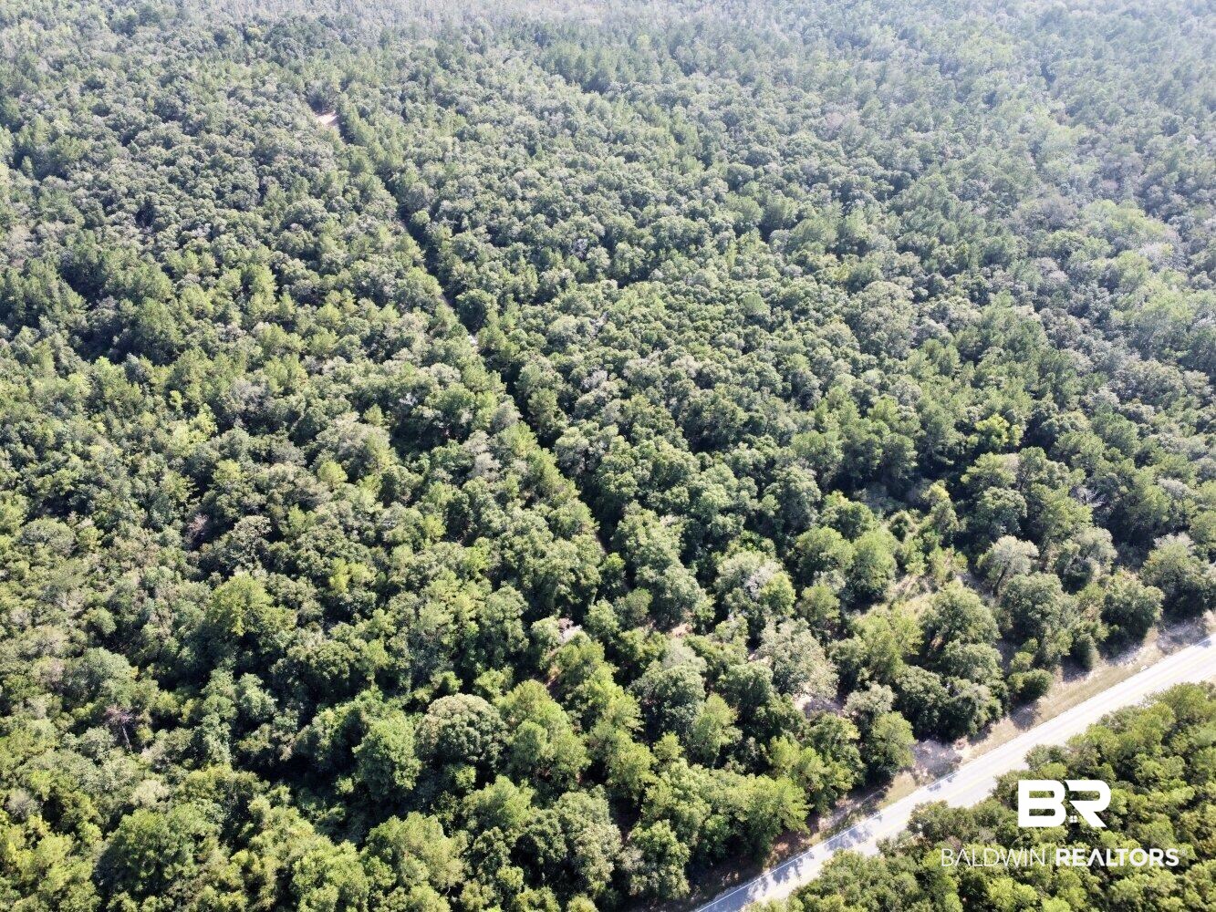0 Bear Fork Road Mobile, AL 36618 - Photo 10 of 50