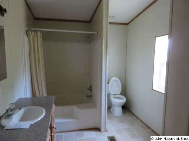 132 Greenwood Road Piedmont, AL 36272 - Photo 9 of 11