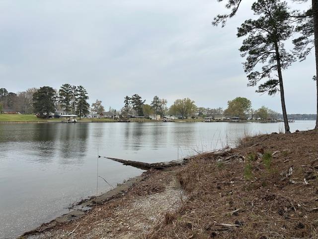 Ninety Six Rabbit Run Road Ninety Six, SC 29666 - Photo 5 of 8 Gallery Image 5