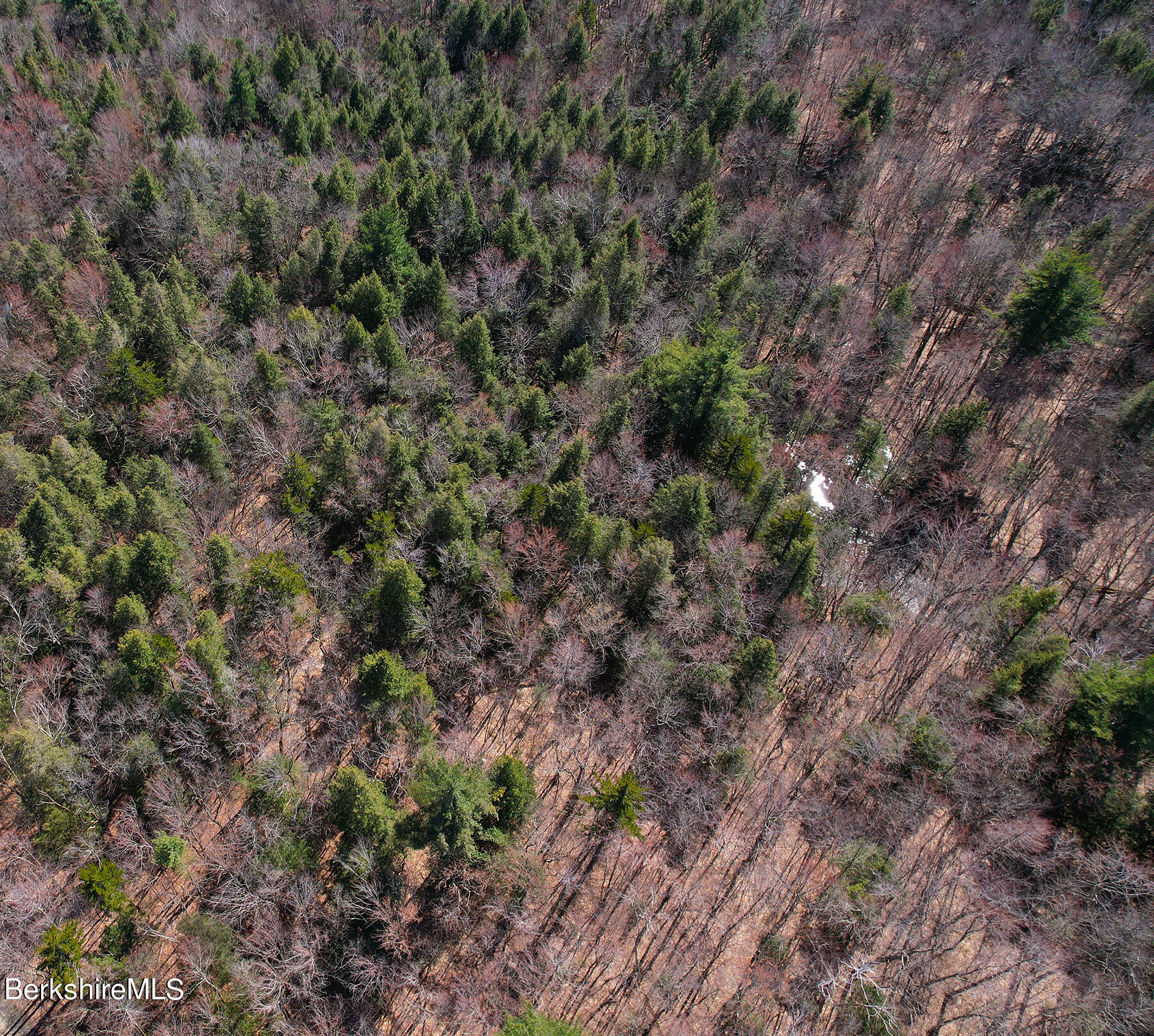 Mountain Pasture Road Becket, MA 01223 - Photo 4 of 7 Becket - 56