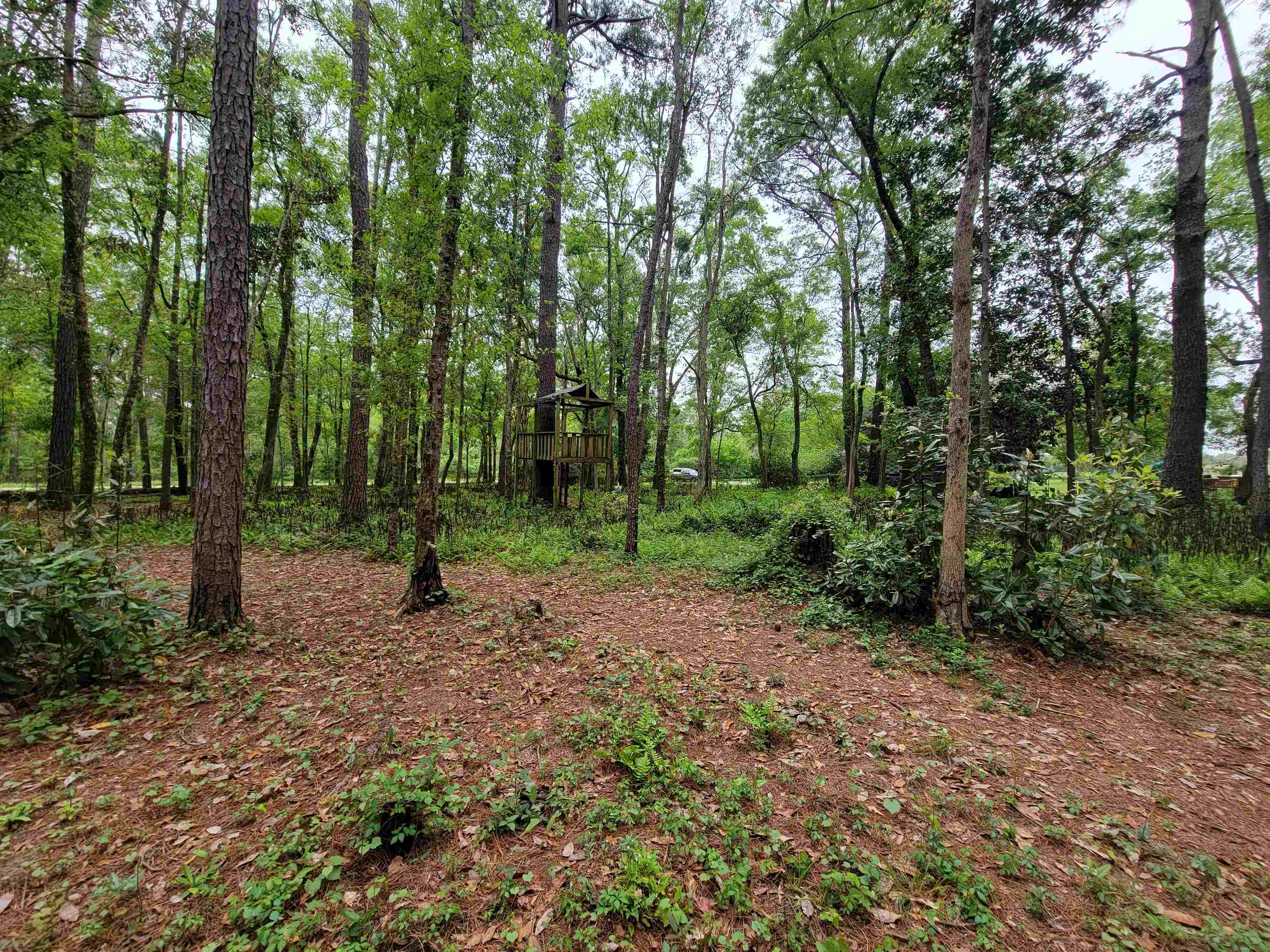 10 County Road Foley, AL 36535 - Photo 9 of 17