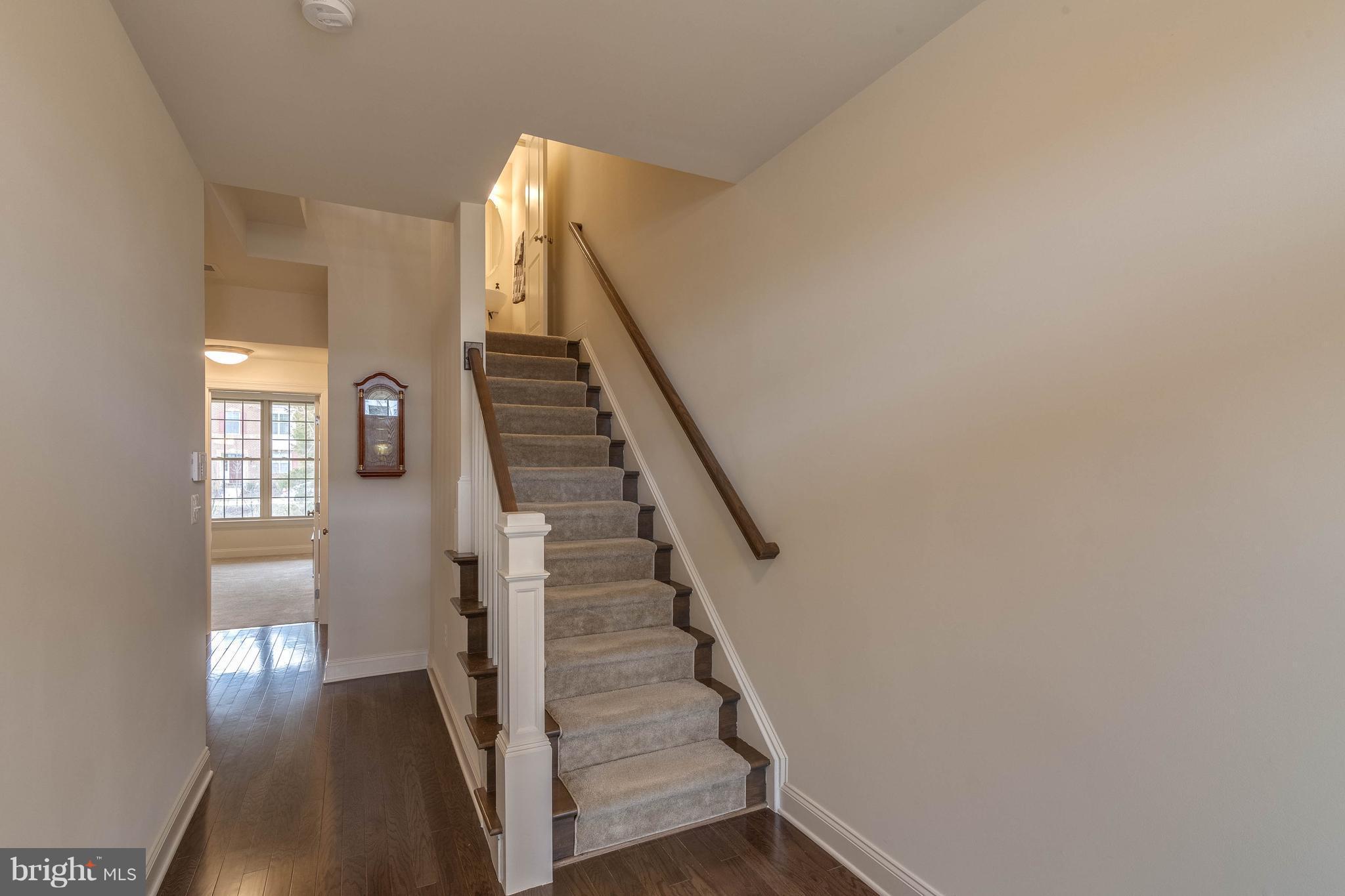 22563 Windsor Locks Square Ashburn, VA 20148 - Photo 5 of 30 Stained Oak Stairs with Carpet Runner