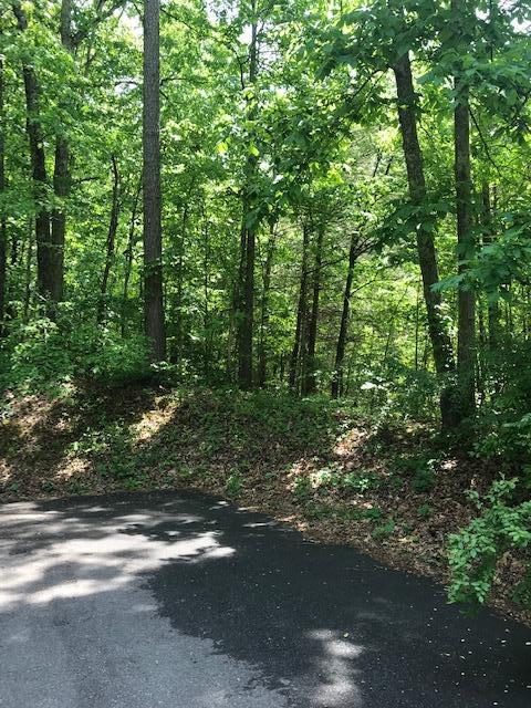 4728 Sunset Road West Knoxville, TN 37914 - Photo 2 of 30 Sunset2