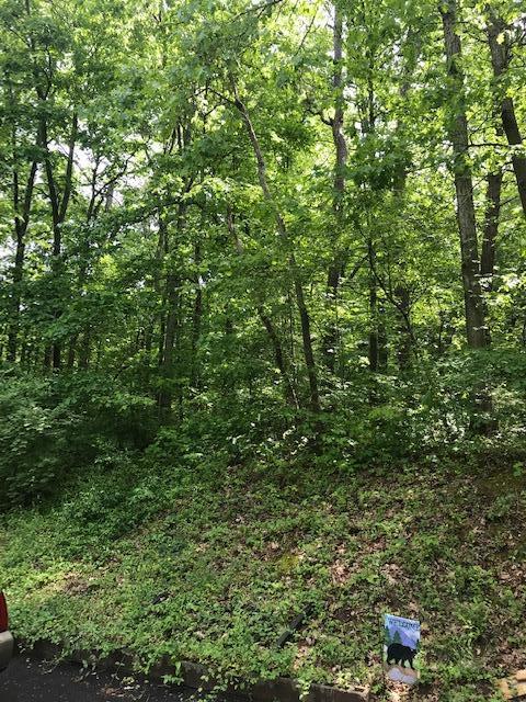 4728 Sunset Road West Knoxville, TN 37914 - Photo 30 of 30 sunset8