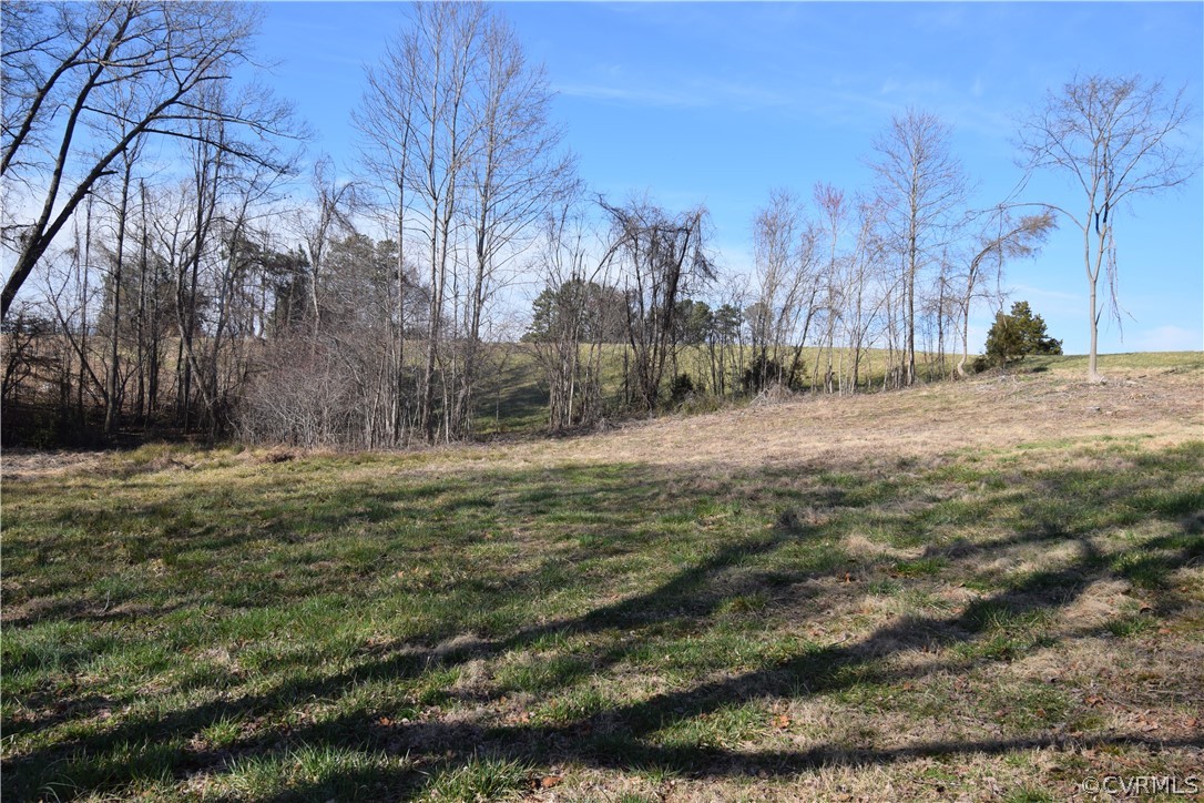 16600 Sandy Ford Road Chesterfield, VA 23838 - Photo 16 of 50 a view of a yard with trees
