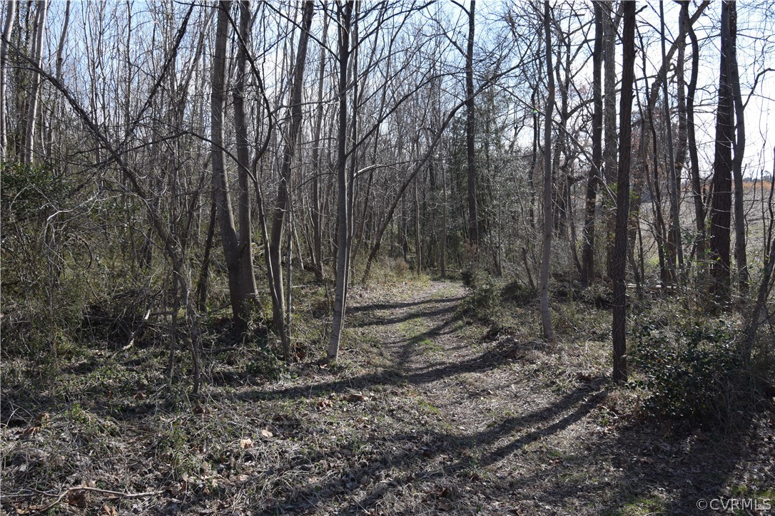 16600 Sandy Ford Road Chesterfield, VA 23838 - Photo 17 of 50 a view of a backyard with large trees