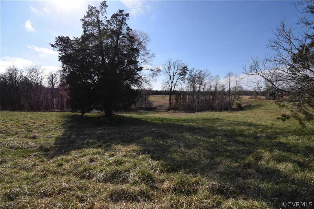 16600 Sandy Ford Road Chesterfield, VA 23838 - Photo 18 of 50 a view of a yard
