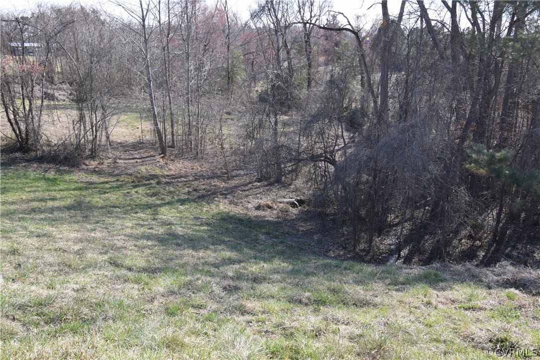 16600 Sandy Ford Road Chesterfield, VA 23838 - Photo 26 of 50 a view of a backyard with large trees