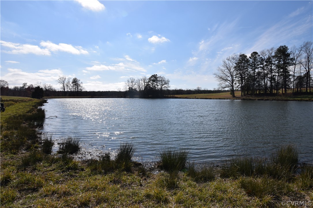 16600 Sandy Ford Road Chesterfield, VA 23838 - Photo 31 of 50 a view of a lake from a yard