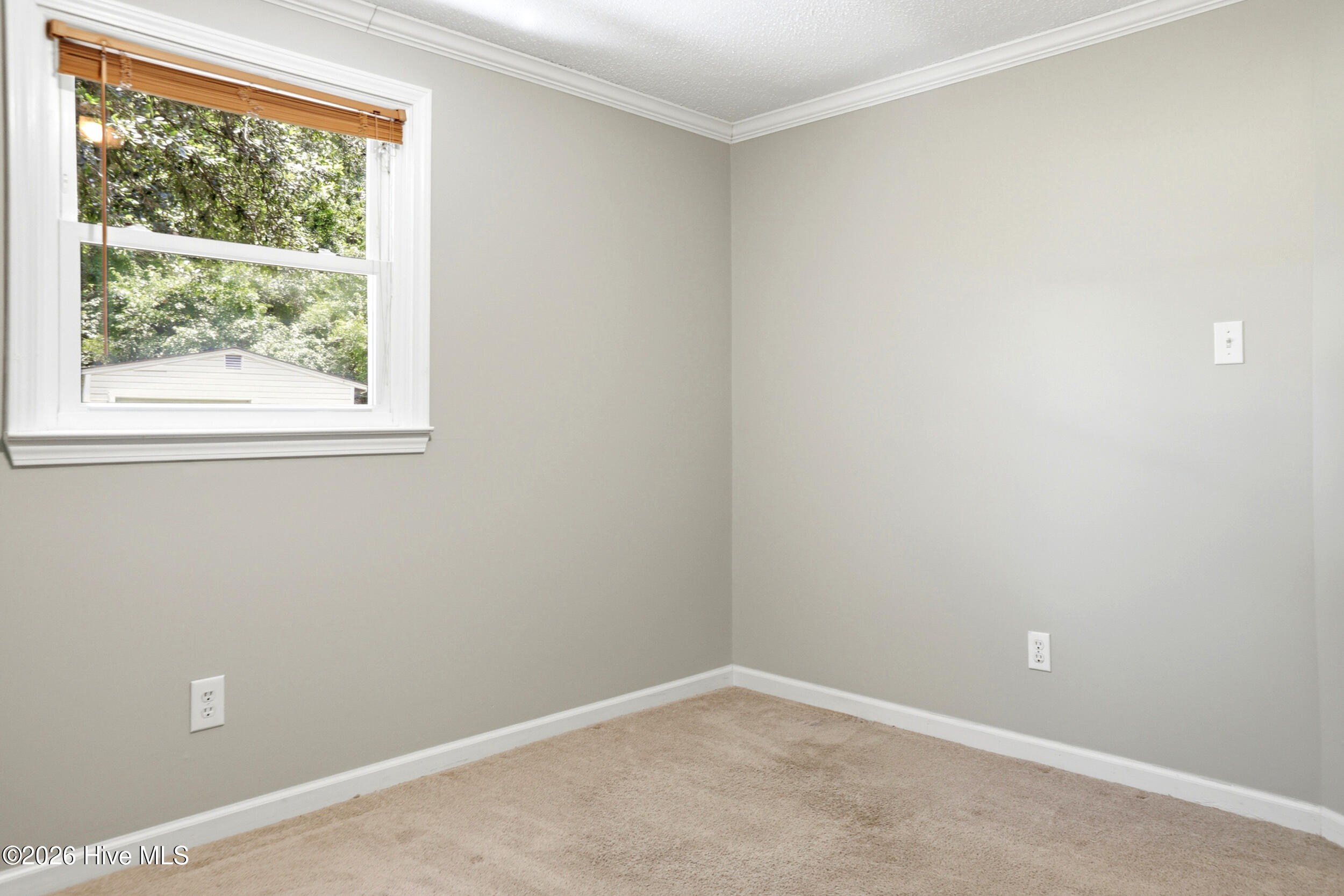 249 Ernest Gurganus Road Jacksonville, NC 28540 - Photo 25 of 51