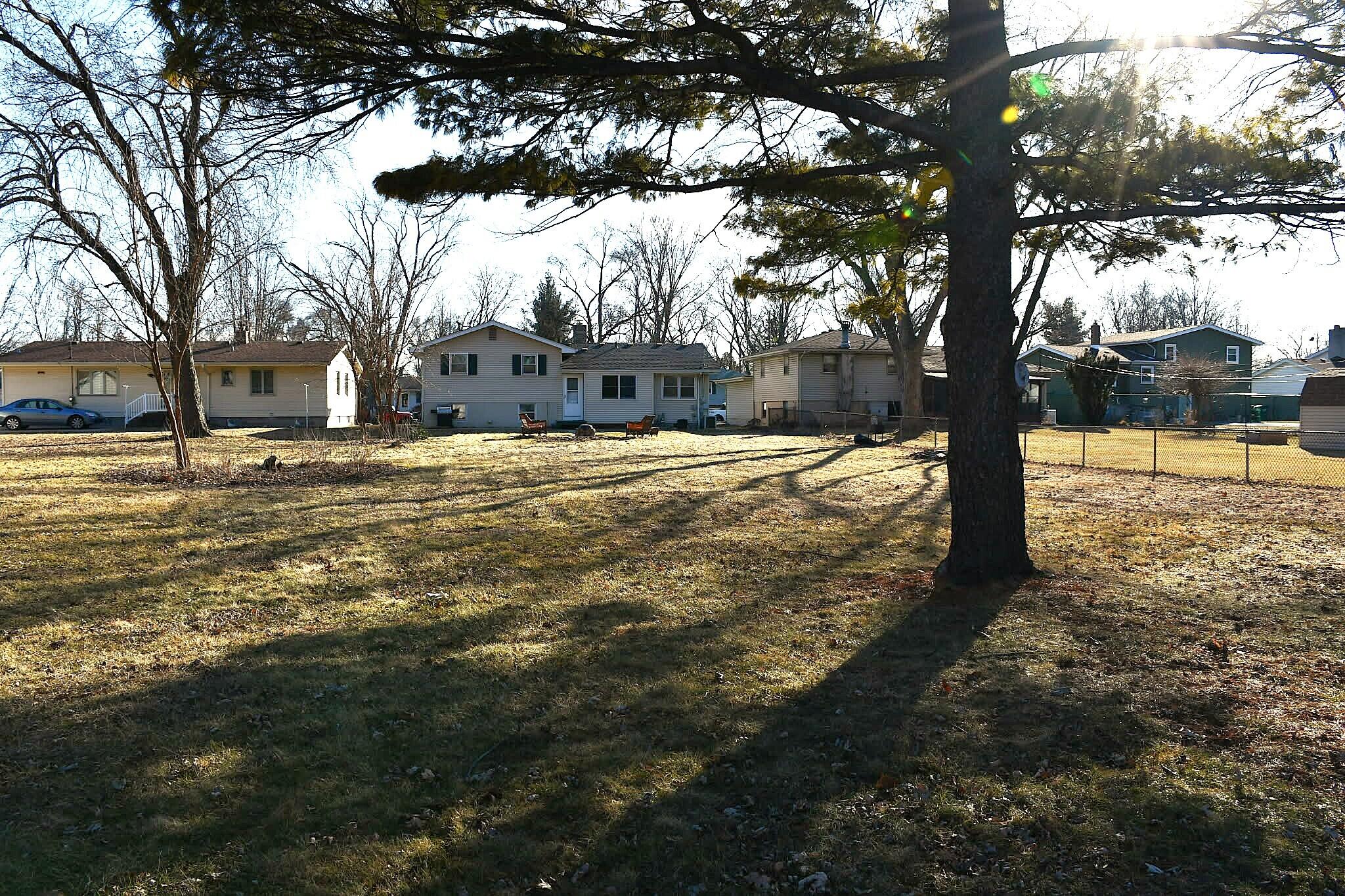 1645 Tulip Lane Munster, IN 46321 - Photo 22 of 23 a tree in the middle of a yard