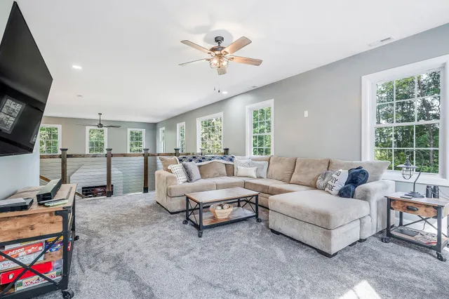 a view of a backyard with potted plants and large trees