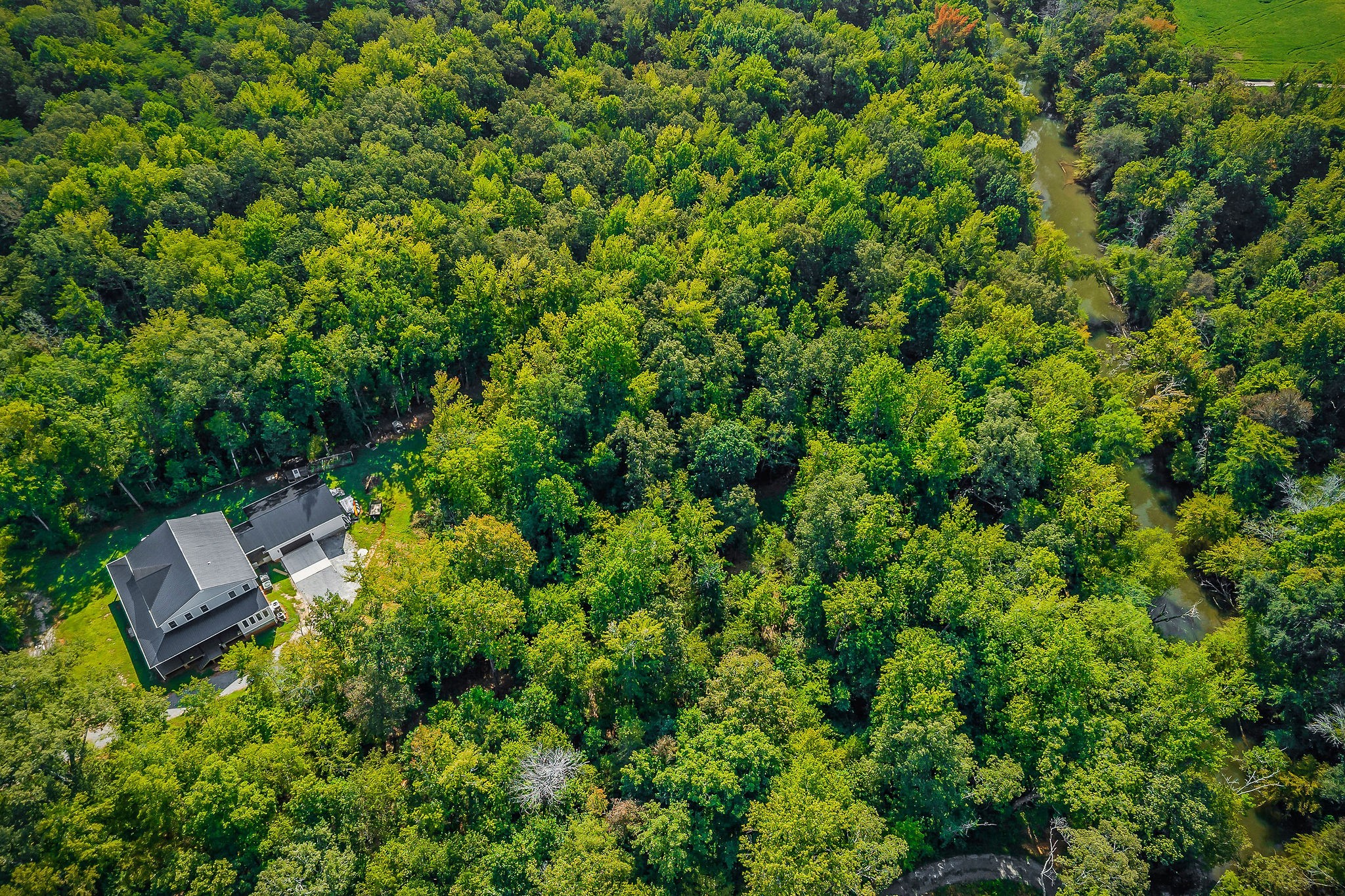 2411 Wheeler Road Morrison, TN 37357 - Photo 59 of 65