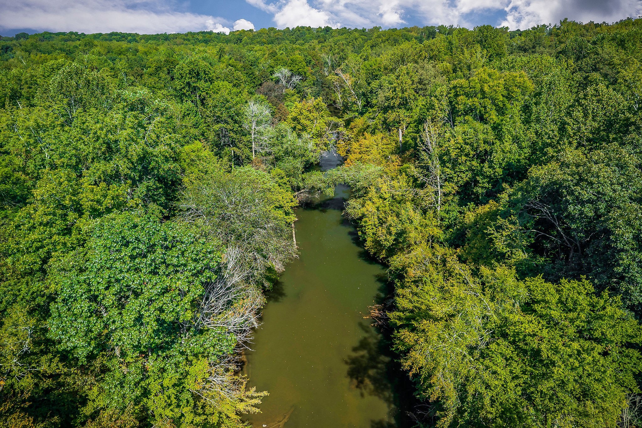 2411 Wheeler Road Morrison, TN 37357 - Photo 8 of 65